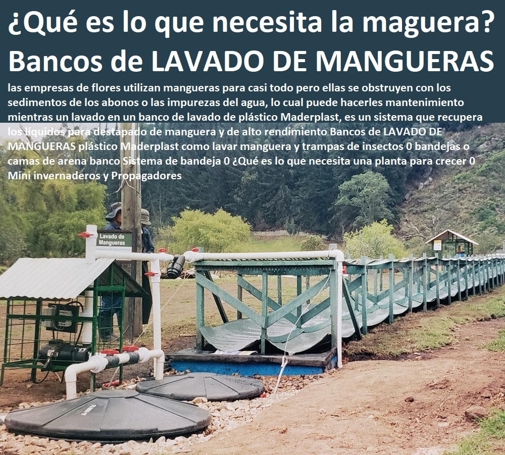 Bancos de LAVADO DE MANGUERAS plástico Maderplast como lavar manguera y trampas de insectos 0 bandejas o camas de arena banco Sistema de bandeja 0 ¿Qué es lo que necesita una planta para crecer 0 Mini invernaderos y Propagadores Bancos de LAVADO DE MANGUERAS plástico Maderplast como lavar manguera y trampas de insectos 0 bandejas o camas de arena banco Sistema de bandeja 0 ¿Qué es lo que necesita una planta para crecer 0 Mini invernaderos y Propagadores HIDROPONÍA, AGRICULTURA, COSECHA, POSCOSECHA, Tutores para Flores cable vía Bananas Aromáticas, Cultivos Tecnificados, Invernaderos, Semilleros, Bancos De Siembra, 